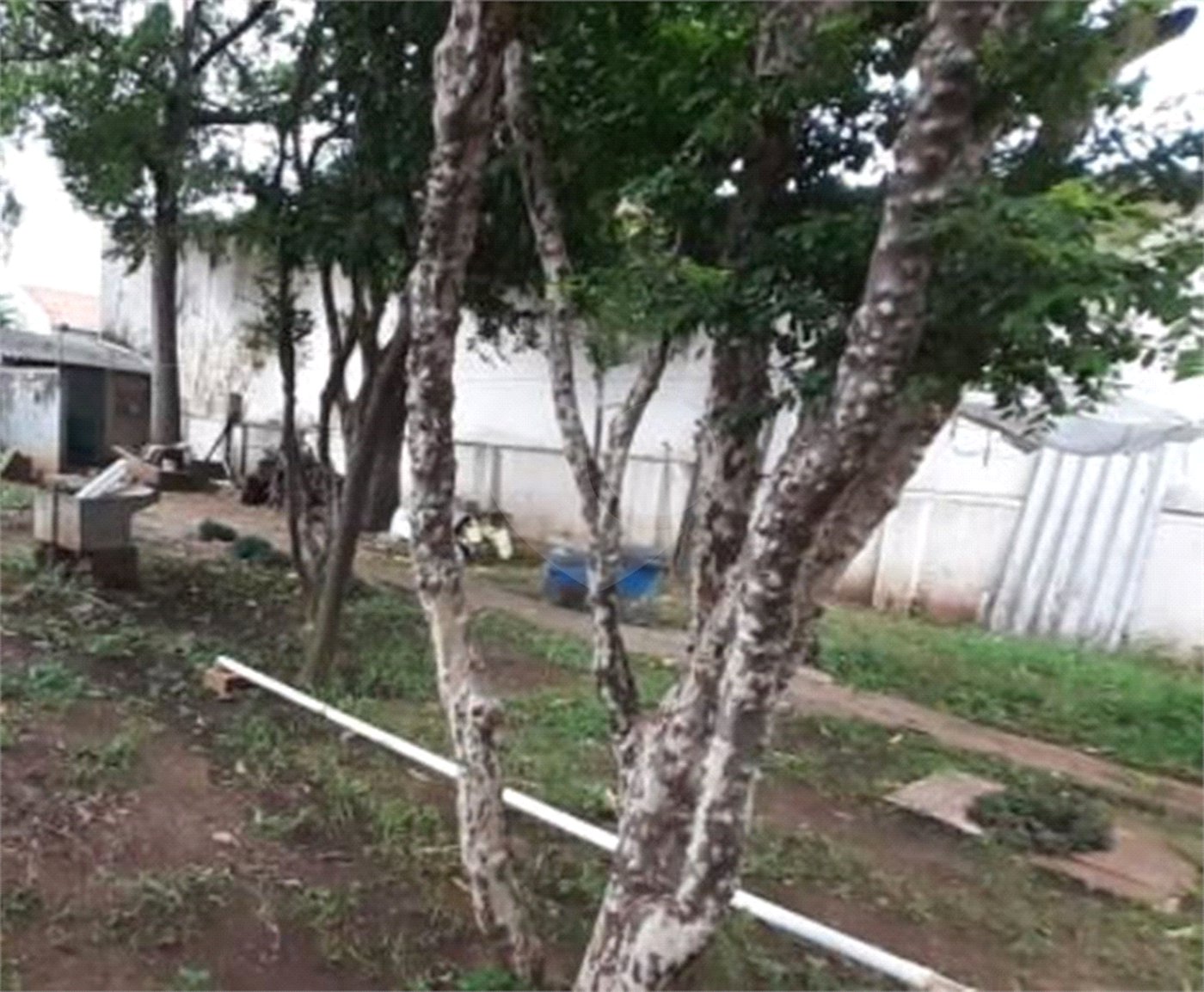 Casa à venda com 3 quartos em Santana, São Paulo, SP