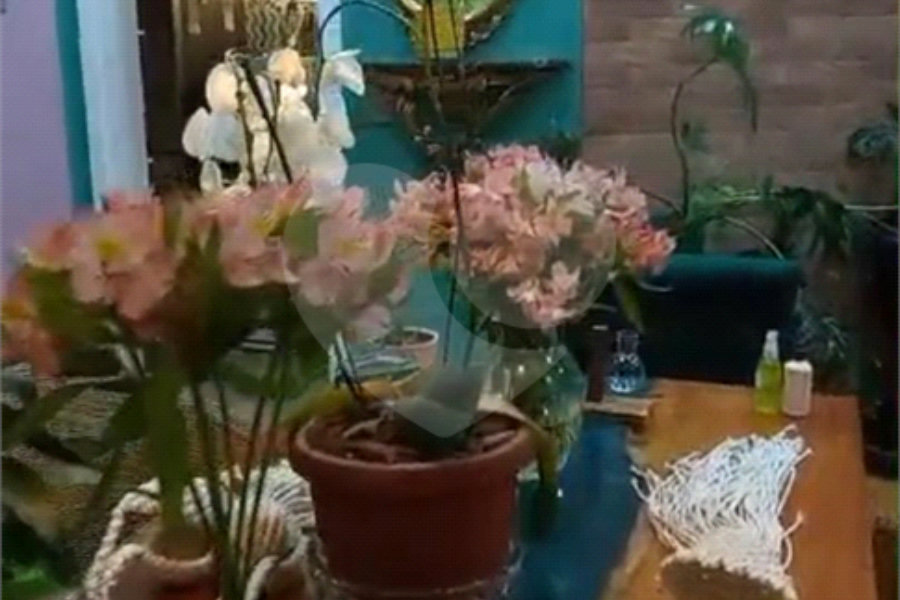 Apartamento à venda com 3 quartos, sendo 1 suíte, em Vila Maria, São Paulo, SP