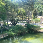 Cobertura à venda ou para alugar com 4 suítes em Jardim Morumbi, São Paulo, SP