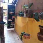 Sobrado à venda com 3 quartos, sendo 1 suíte, em Jardim Japão, São Paulo, SP