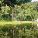 Chácara à venda com 5 quartos em Rio Acima, Mairiporã, SP