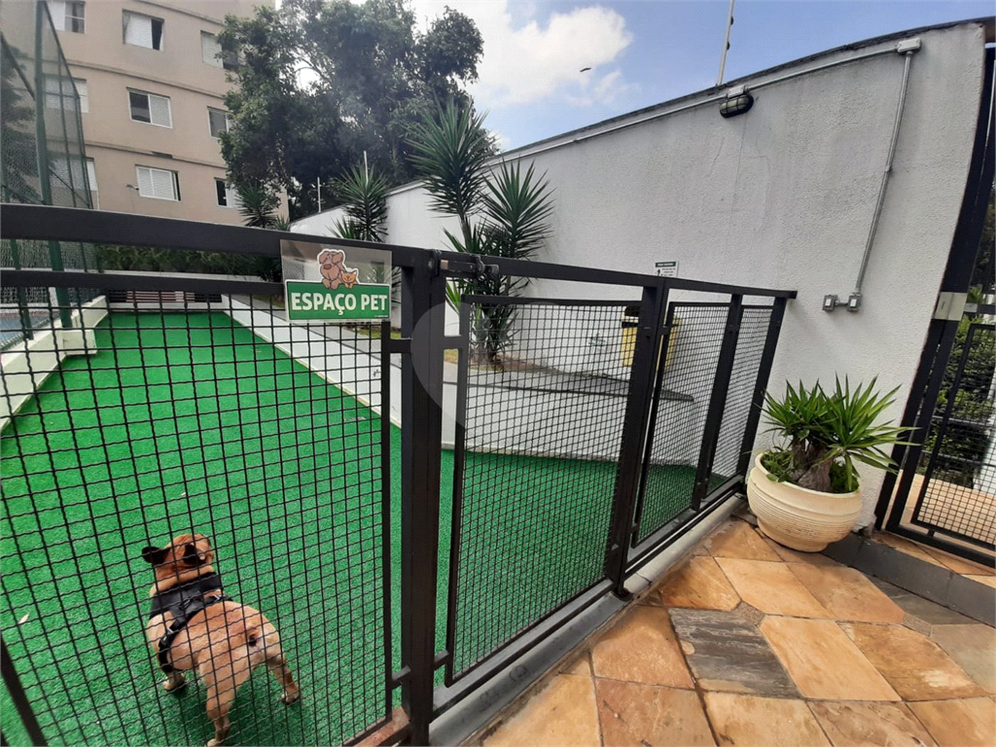 Apartamento à venda com 2 quartos, sendo 1 suíte, em Casa Verde, São Paulo, SP