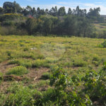 Terreno à venda em Vila Sonia, Itapetininga, SP