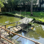 Chácara à venda com 10 quartos, sendo 20 suítes, em Serra da Cantareira, Mairiporã, SP