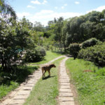 Chácara à venda com 2 quartos, sendo 1 suíte, em Santa Cândida, Vinhedo, SP