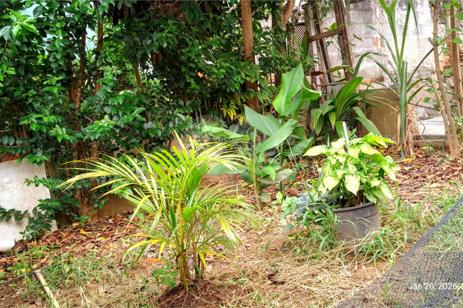 Terreno à venda em Casa Verde, São Paulo, SP