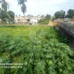 Terreno à venda em Vila Oliveira, Mogi das Cruzes, SP