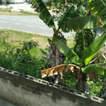 Chácara à venda com 3 suítes em Chácaras Copaco, Arujá, SP