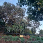 Terreno à venda em Vila Irmãos Arnoni, São Paulo, SP