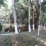 Chácara à venda ou para alugar com 20 quartos, sendo 10 suítes,  em Serra da Cantareira, Mairiporã, SP