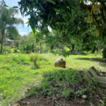 Terreno à venda em Cachoeira, Vinhedo, SP