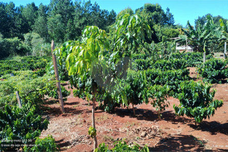 Chácara à venda em Campo Grande, Pilar do Sul, SP