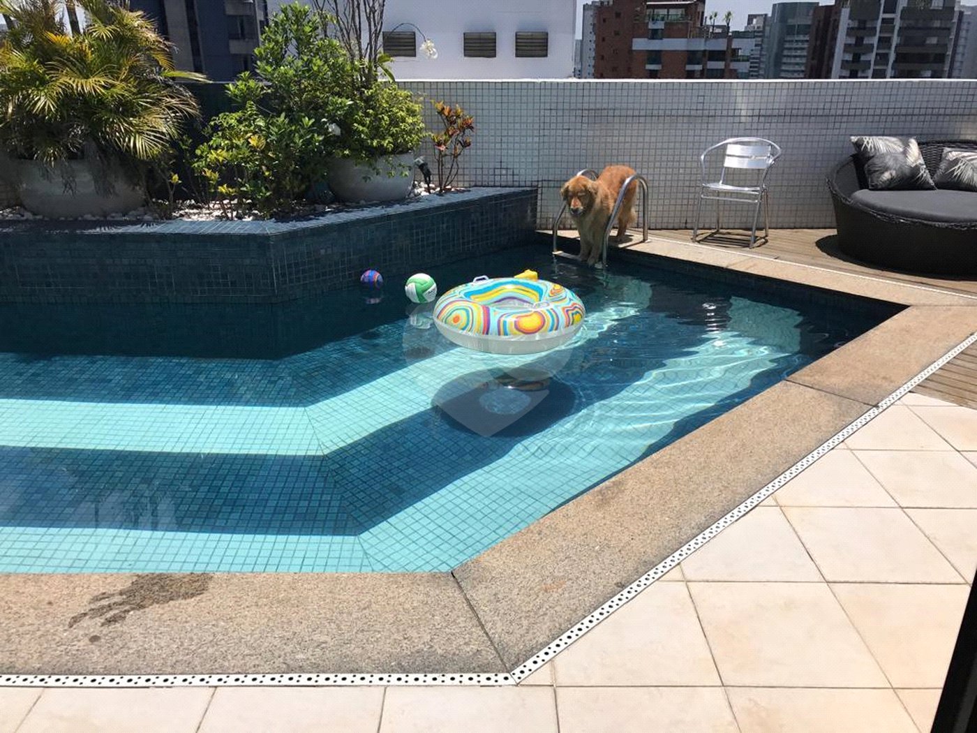 Cobertura à venda com 2 suítes em Vila Suzana, São Paulo, SP