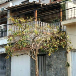 Sobrado à venda com 2 quartos, sendo 1 suíte, em Santana, São Paulo, SP