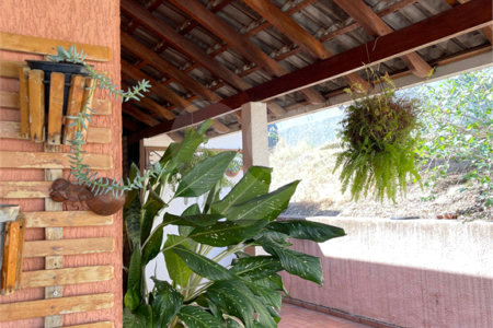 Casa à venda ou para alugar com 4 suítes em Jardim Cuiabá, Cuiabá, MT