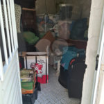 Sobrado à venda com 4 quartos em Água Fria, São Paulo, SP