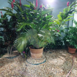 Sobrado à venda com 4 quartos, sendo 3 suítes, em Jardim Paulistano, Ribeirão Preto, SP