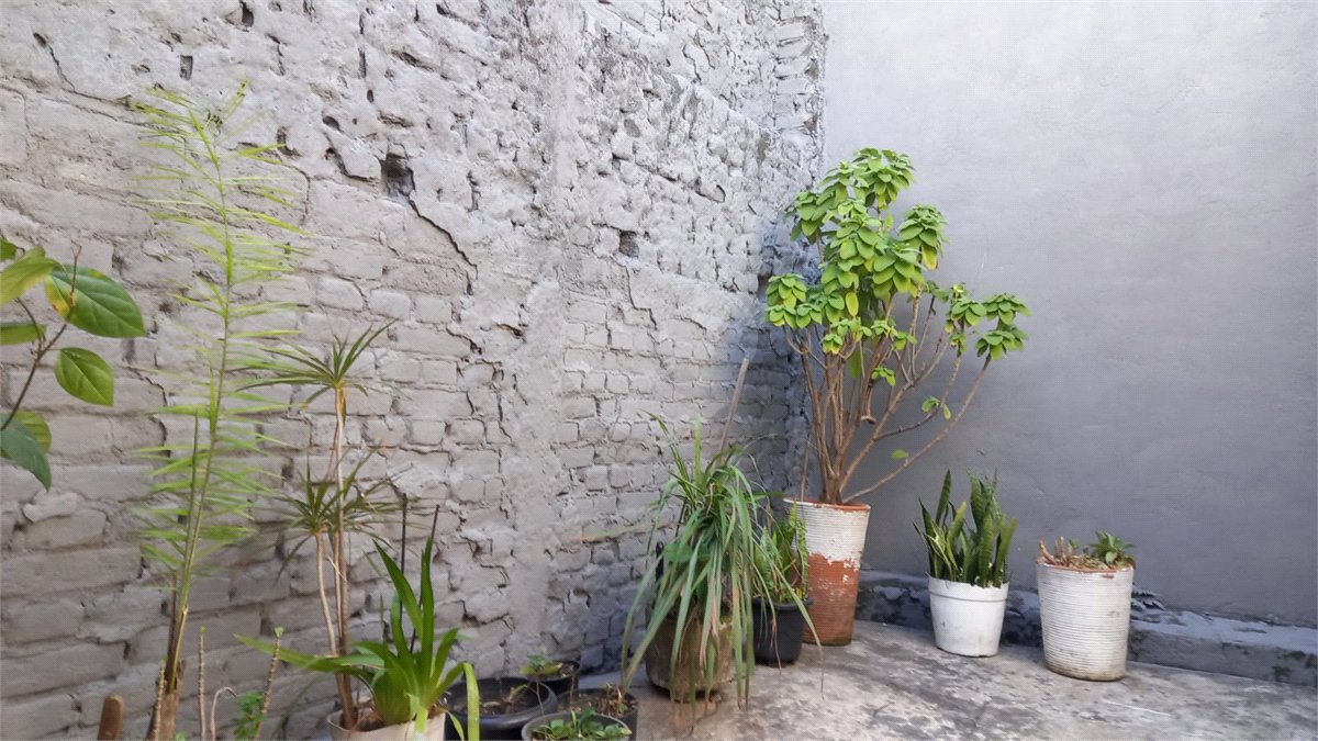 Casa à venda com 2 quartos em Vila Santa Maria, São Paulo, SP