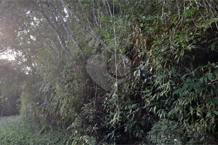 Terreno à venda no condomínio Associação Reserva das Hortênsias, Mairiporã - SP