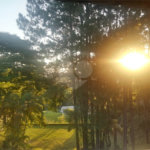 Chácara à venda com 7 quartos em Marambaia, Vinhedo, SP