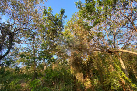 Terreno à venda em Albatroz, Armação dos Búzios, RJ