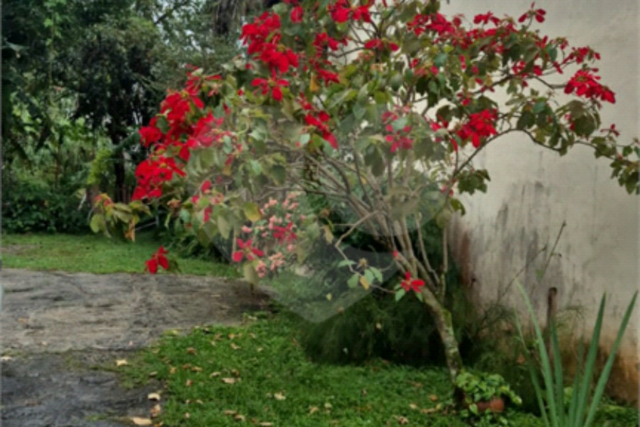 Terreno à venda ou para alugar em Horto, São Paulo, SP