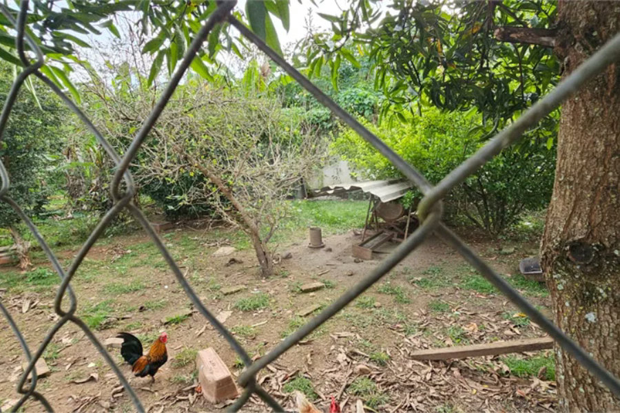 CHÁCARA À VENDA – ESTORIL (ONDINHAS)