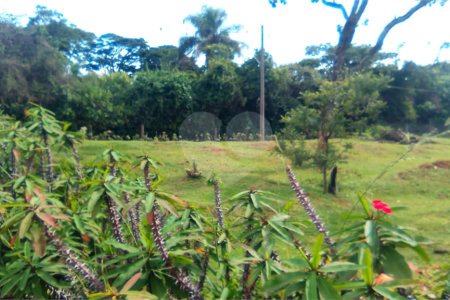 Terreno em Água Vermelha