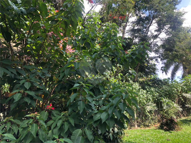 Terreno à venda em Serra da Cantareira, Mairiporã, SP