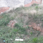 Terreno à venda em Pirituba, São Paulo, SP