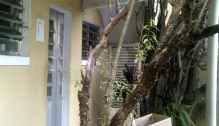 Casa Térrea à venda com 4 quartos, sendo 1 suíte,  em Tremembé, São Paulo, SP