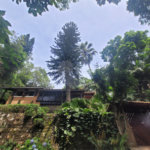 Casa à venda com 4 quartos, sendo 2 suítes,  em Serra da Cantareira, Mairiporã, SP