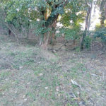 Terreno à venda em João Xxiii, Vinhedo, SP