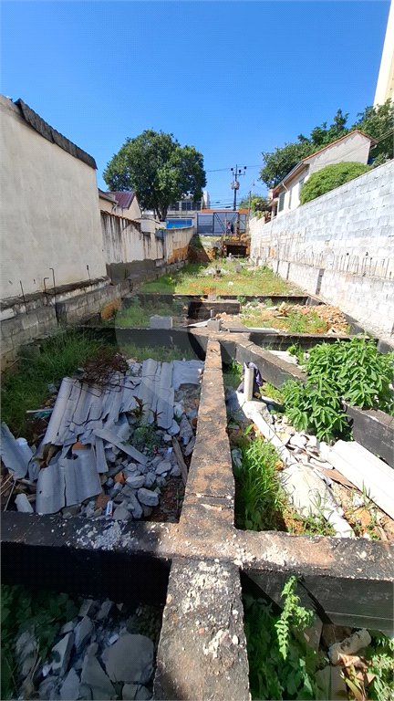 Terreno à venda em Vila Mazzei, São Paulo, SP