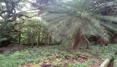 Terreno à venda no condomínio Associação Reserva das Hortênsias, Mairiporã - SP