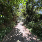 Terreno à venda em Serra da Cantareira, Mairiporã, SP