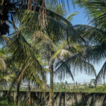 Área de Terra à venda com 1 suíte em Campo Grande, Rio de Janeiro, RJ