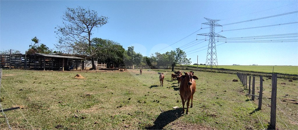 Sítio à venda com 2 suítes em Buru, Salto, SP