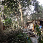 Terreno à venda em Jaçanã, São Paulo, SP