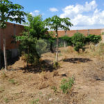 Terreno no Planalto Paraíso