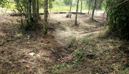 Terreno à venda no condomínio Sausalito, Mairiporã - SP