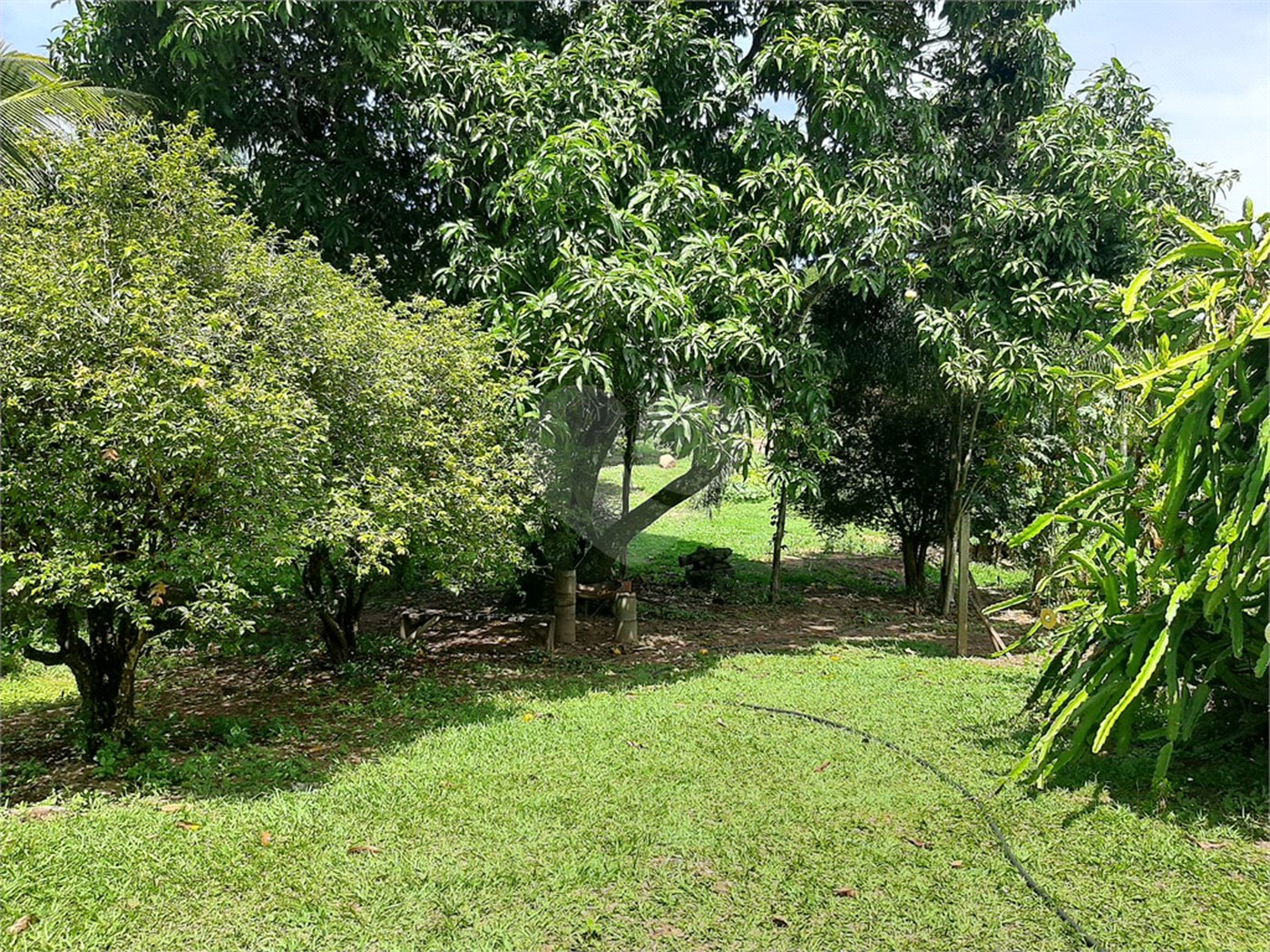 Terreno à venda em Cachoeira, Vinhedo, SP