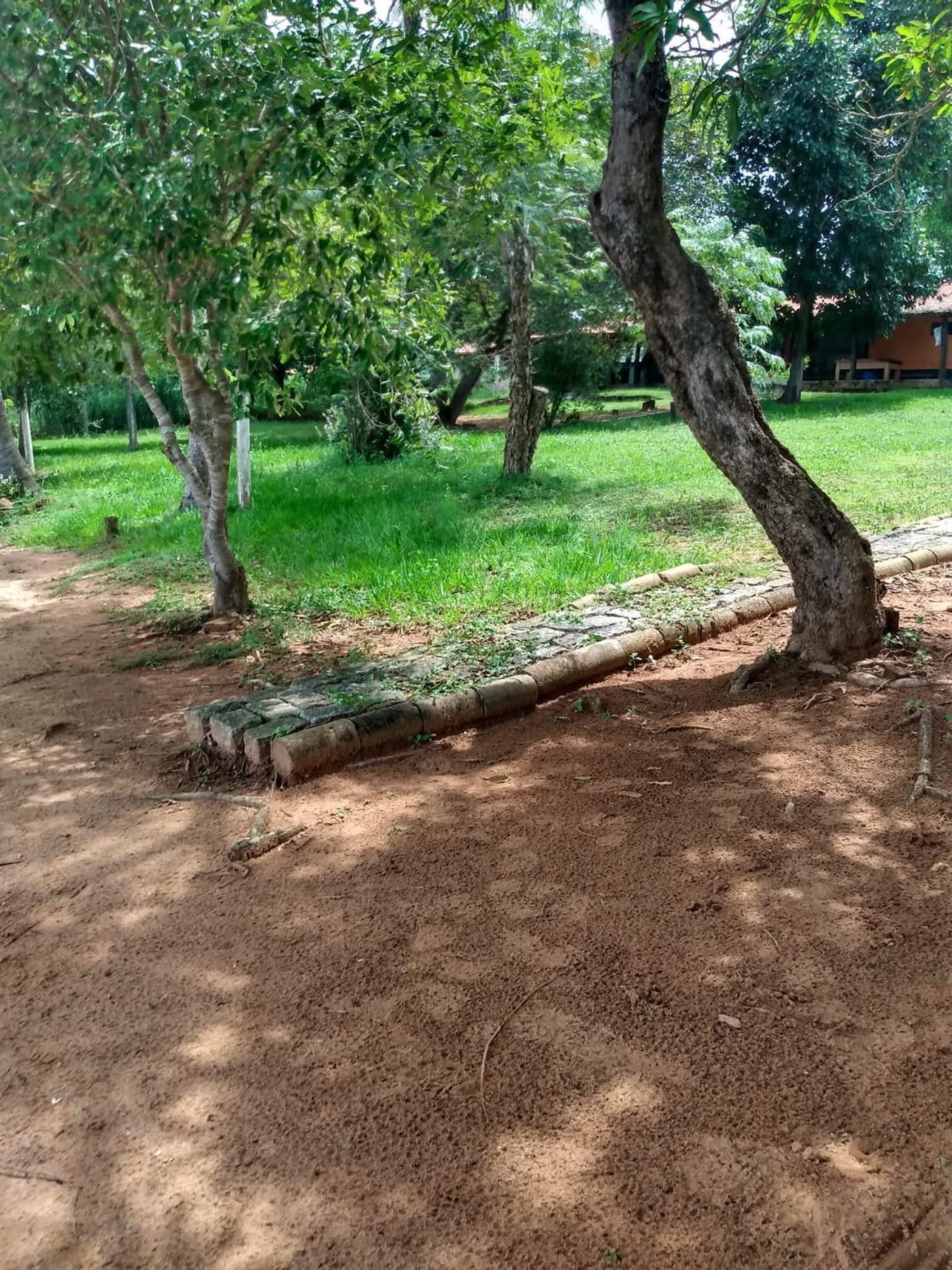 Sítio à venda com 2 quartos, sendo 1 suíte,  em Rural, Três Lagoas, MS