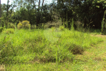 Chácara à venda com 1 quarto em Cruz das Almas, Biritiba-mirim, SP