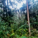 Condomínio à venda em Serra da Cantareira, Mairiporã, SP
