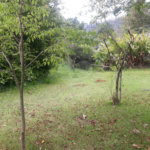 Terreno para alugar em Jardim Rene, São Roque, SP