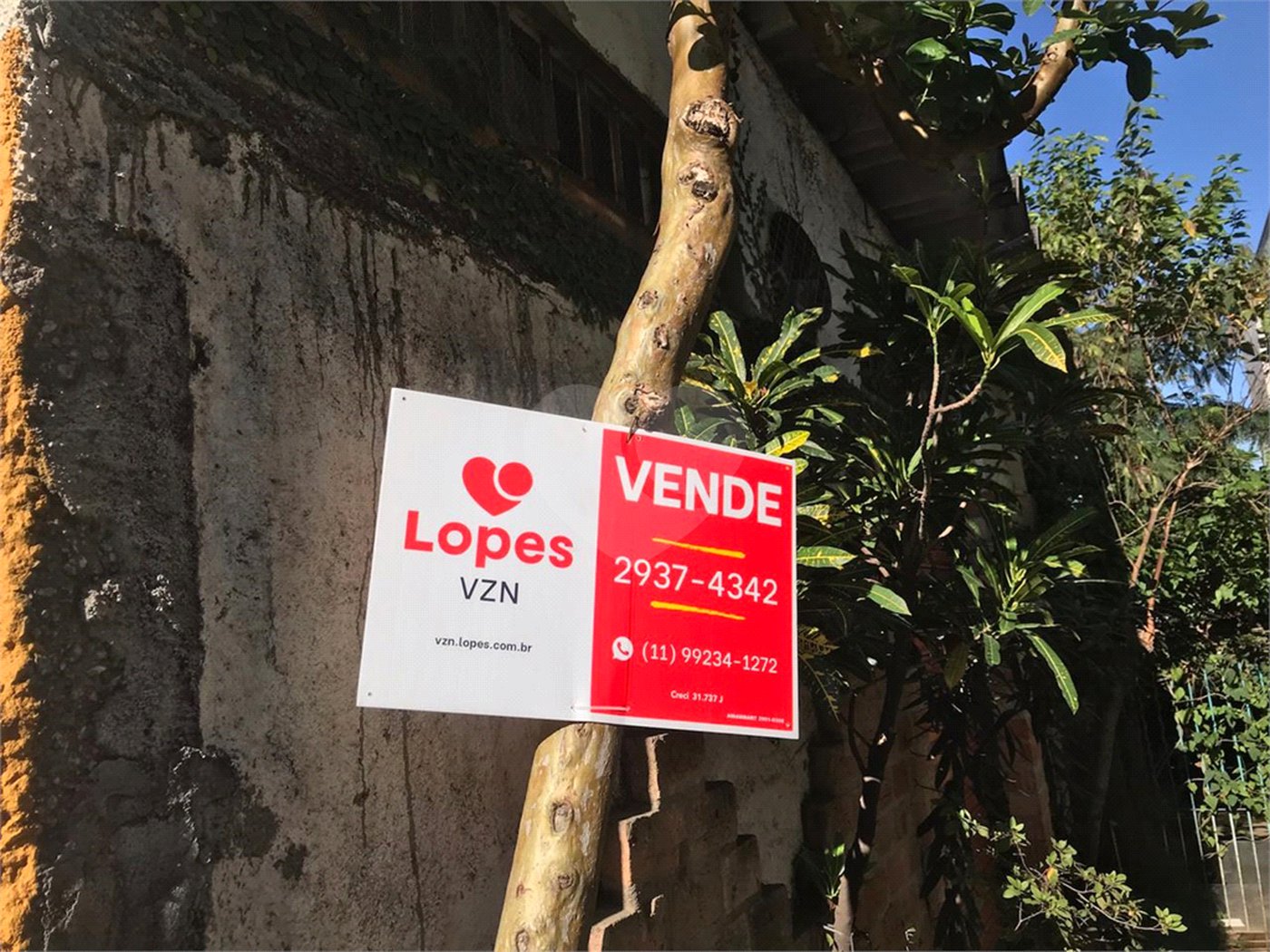 Terreno à venda em Vila Santa Terezinha (zona Norte), São Paulo, SP