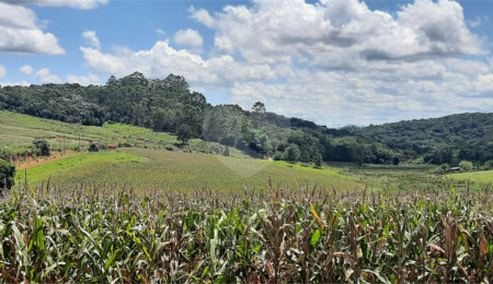 Terreno à venda em Vitória Régia, Atibaia, SP