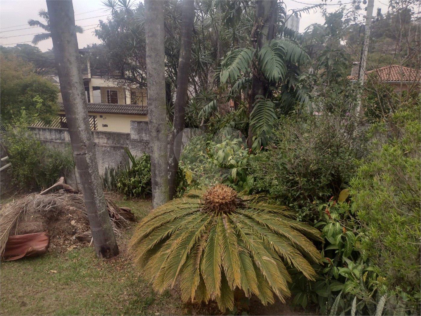 Casa à venda ou para alugar com 3 suítes em Tremembé, São Paulo, SP