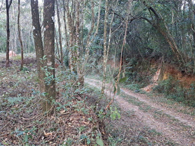 Terreno à venda em Roseira, Mairiporã, SP